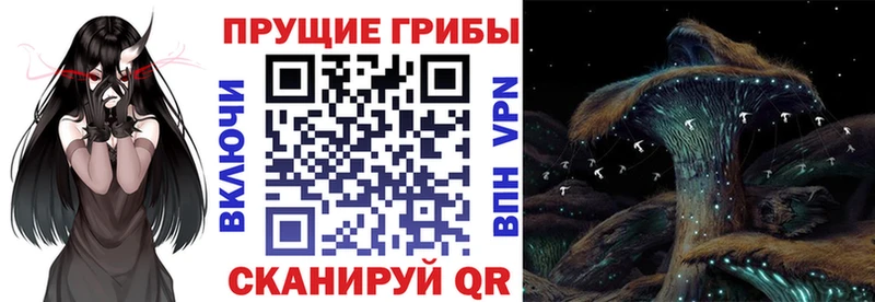 ссылка на мегу сайт  Закаменск  Галлюциногенные грибы MAGIC MUSHROOMS 